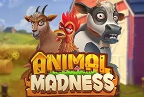 Animal Madness