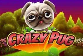 Crazy Pug