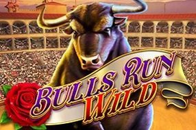 Bulls Run Wild