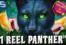 1 Reel Panther