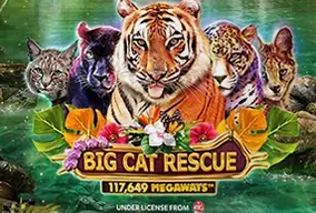Big Cat Rescue Megaways