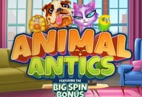 Animal Antics